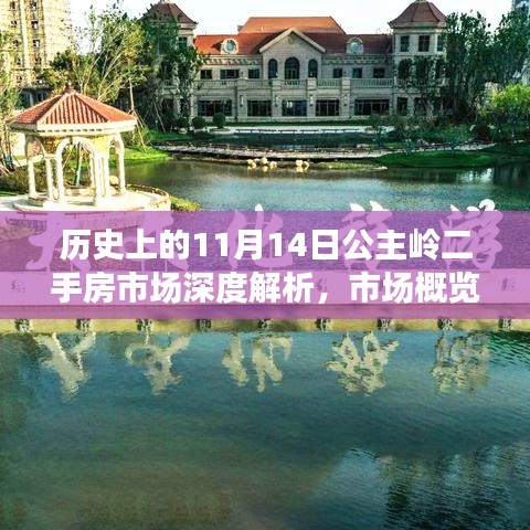 历史上的11月14日公主岭二手房市场深度解析，市场概览与最新房源情报