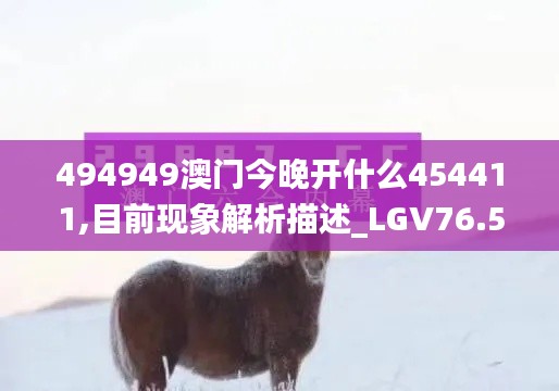 494949澳门今晚开什么454411,目前现象解析描述_LGV76.504互助版