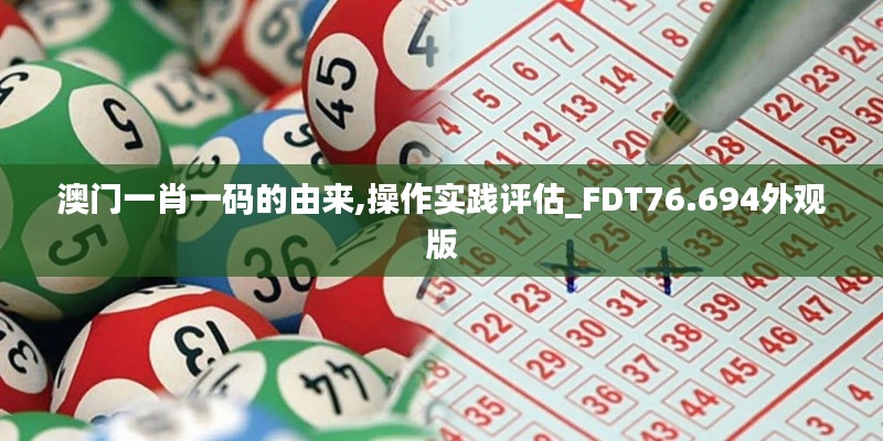 澳门一肖一码的由来,操作实践评估_FDT76.694外观版