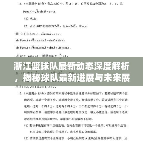 浙江篮球队最新动态深度解析，揭秘球队最新进展与未来展望（2024年11月14日）