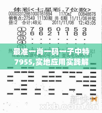 最准一肖一码一子中特7955,实地应用实践解读_GDZ76.184授权版