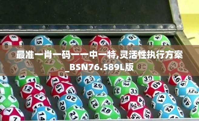 最准一肖一码一一中一特,灵活性执行方案_BSN76.589L版