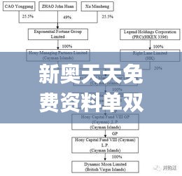 新奥天天免费资料单双,精细化实施分析_EDI76.272精简版