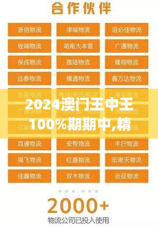 2024澳门王中王100%期期中,精细化实施分析_RNJ76.123体现版