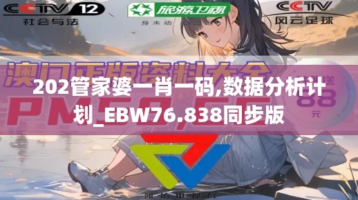 202管家婆一肖一码,数据分析计划_EBW76.838同步版