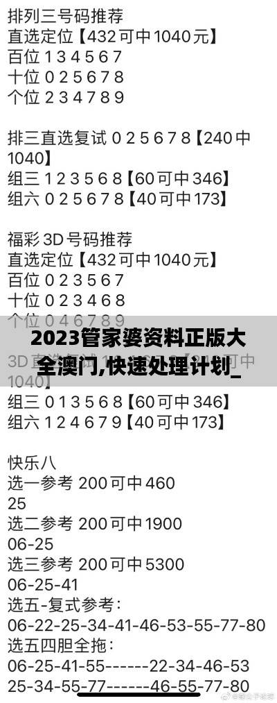 2023管家婆资料正版大全澳门,快速处理计划_FVH76.867和谐版