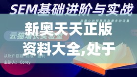 新奥天天正版资料大全,处于迅速响应执行_FOM76.175神秘版