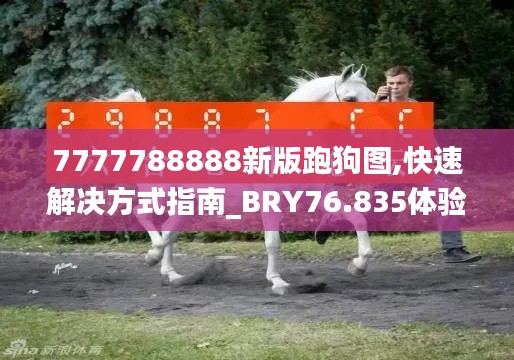 7777788888新版跑狗图,快速解决方式指南_BRY76.835体验版