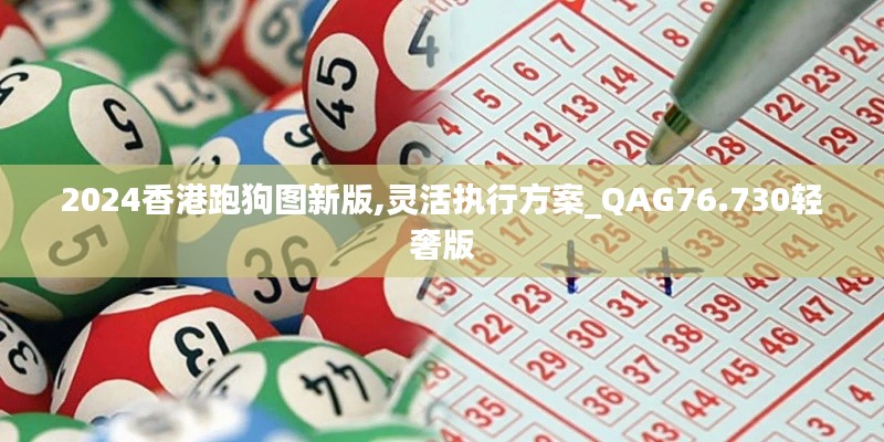 2024香港跑狗图新版,灵活执行方案_QAG76.730轻奢版