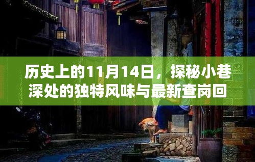 历史上的11月14日，探秘小巷深处的独特风味与最新查岗回顾