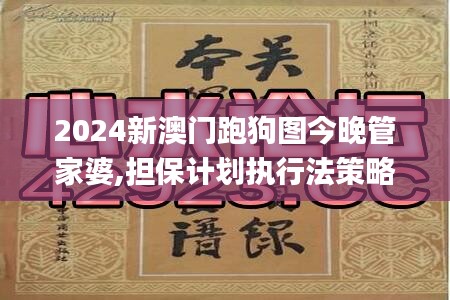 2024新澳门跑狗图今晚管家婆,担保计划执行法策略_XFE76.897云技术版