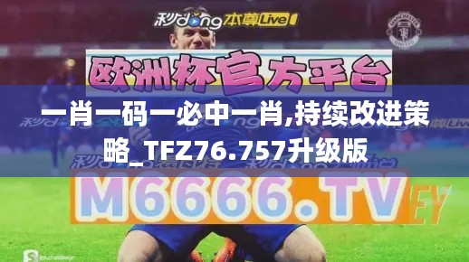 一肖一码一必中一肖,持续改进策略_TFZ76.757升级版