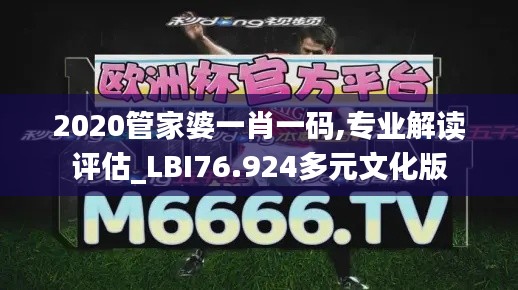 2020管家婆一肖一码,专业解读评估_LBI76.924多元文化版