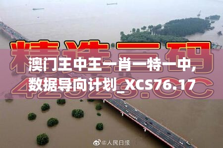 澳门王中王一肖一特一中,数据导向计划_XCS76.176多元文化版