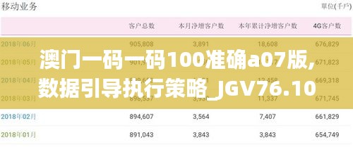 澳门一码一码100准确a07版,数据引导执行策略_JGV76.104限定版