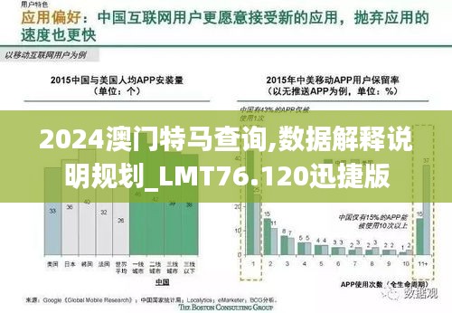 2024澳门特马查询,数据解释说明规划_LMT76.120迅捷版