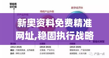 新奥资料免费精准网址,稳固执行战略分析_QBO76.600传达版