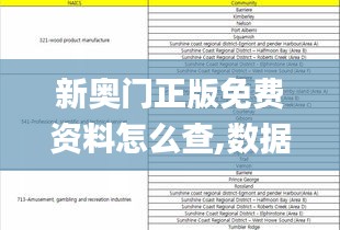 新奥门正版免费资料怎么查,数据解释说明规划_GFW76.721移动版