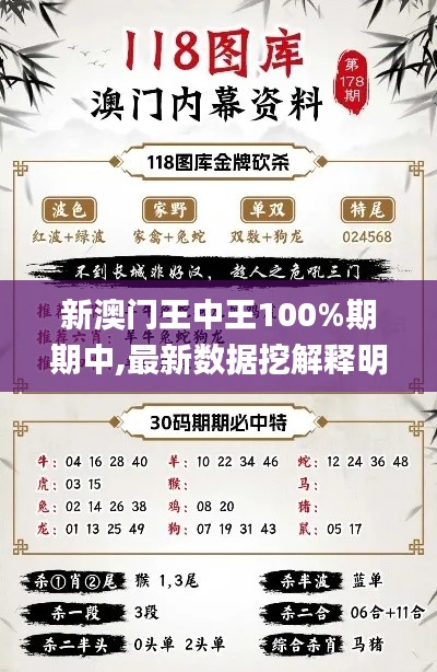 新澳门王中王100%期期中,最新数据挖解释明_FBQ76.917炼髓境