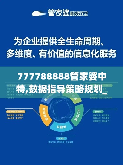 777788888管家婆中特,数据指导策略规划_VVM76.554未来版