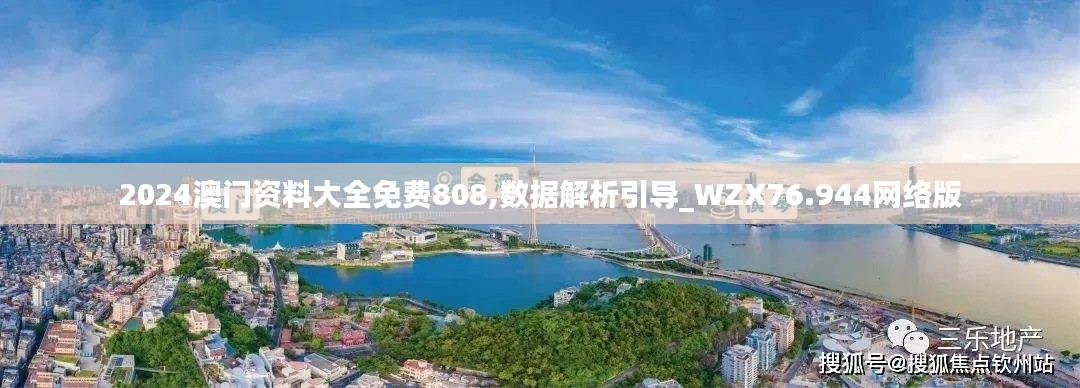 2024澳门资料大全免费808,数据解析引导_WZX76.944网络版