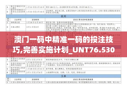 澳门一码中精准一码的投注技巧,完善实施计划_UNT76.530分析版