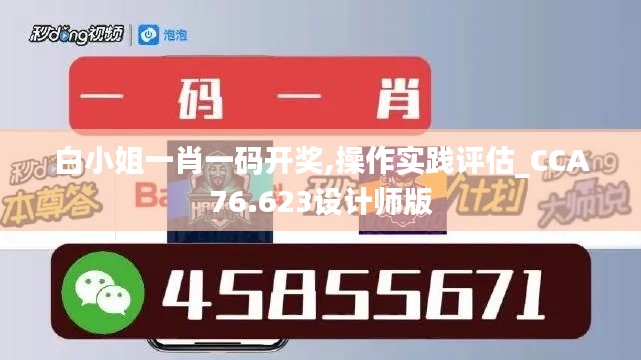 白小姐一肖一码开奖,操作实践评估_CCA76.623设计师版