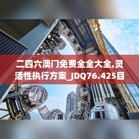 二四六澳门免费全全大全,灵活性执行方案_JDQ76.425目击版