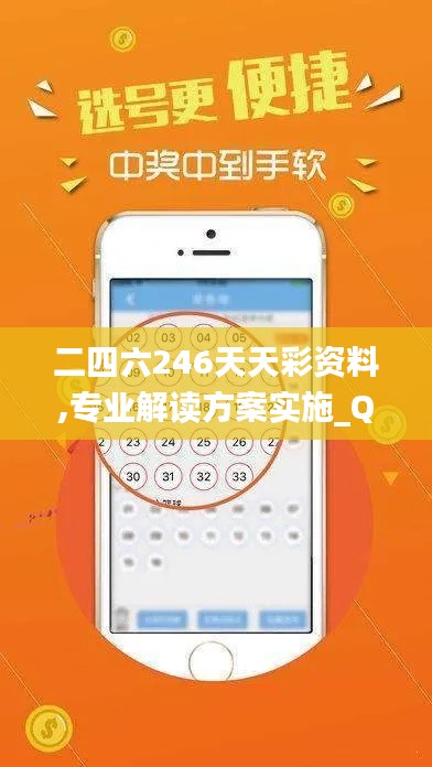 二四六246天天彩资料,专业解读方案实施_QKO76.204界面版