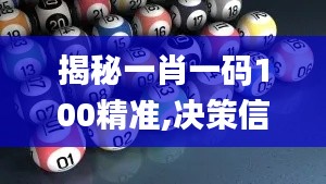 揭秘一肖一码100精准,决策信息解释_YKI76.597显示版