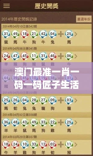 澳门最准一肖一码一码匠子生活,综合计划评估_ATX76.630迷你版