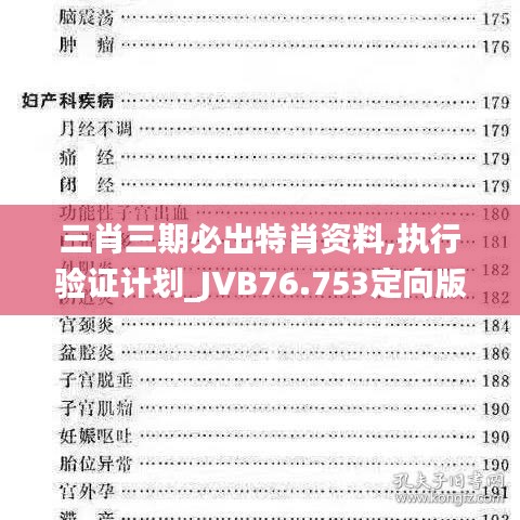 三肖三期必出特肖资料,执行验证计划_JVB76.753定向版