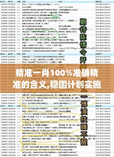 精准一肖100%准确精准的含义,稳固计划实施_NVB76.283颠覆版