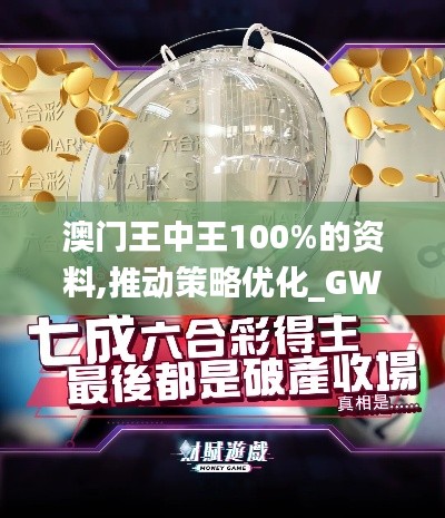 澳门王中王100%的资料,推动策略优化_GWM76.162晴朗版