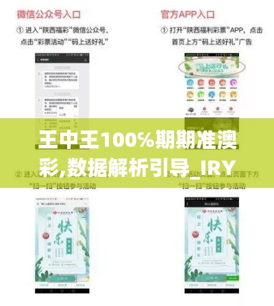 王中王100℅期期准澳彩,数据解析引导_IRY76.897温馨版