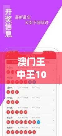 澳门王中王100%的资料三中三,数据解释说明规划_LXQ76.319时空版