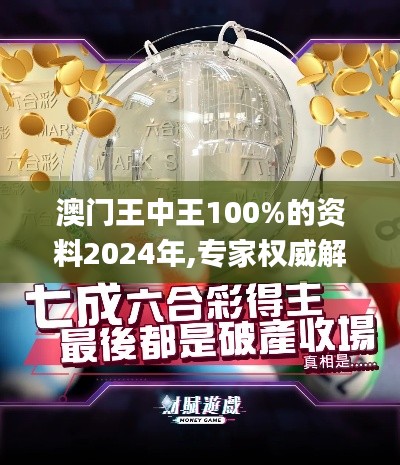 澳门王中王100%的资料2024年,专家权威解答_LXT76.422VR版