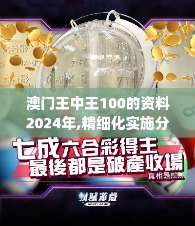 澳门王中王100的资料2024年,精细化实施分析_MCG76.262精致版