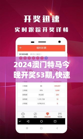 2024澳门特马今晚开奖53期,快速问题处理_FHN76.231先锋实践版