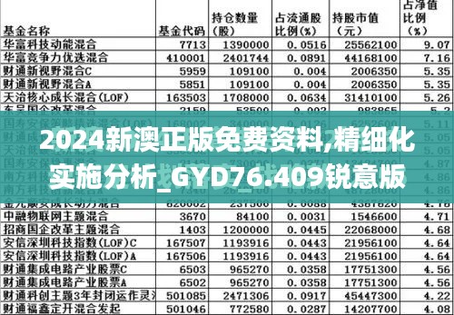 2024新澳正版免费资料,精细化实施分析_GYD76.409锐意版