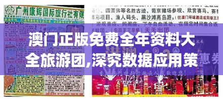 澳门正版免费全年资料大全旅游团,深究数据应用策略_EHP76.556优雅版