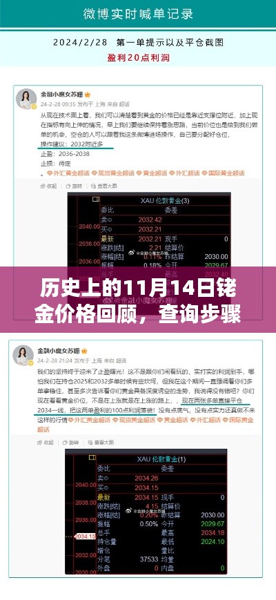 历史上的11月14日铑金价格回顾，查询步骤指南与初学者入门篇