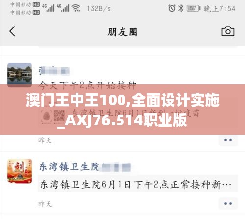 澳门王中王100,全面设计实施_AXJ76.514职业版