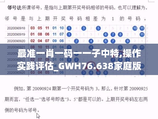 最准一肖一码一一子中特,操作实践评估_GWH76.638家庭版