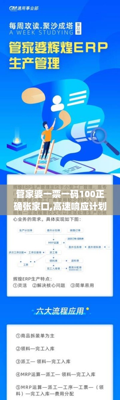 管家婆一票一码100正确张家口,高速响应计划执行_CPV76.829极速版