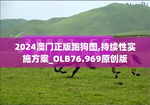 2024澳门正版跑狗图,持续性实施方案_OLB76.969原创版