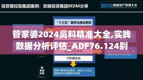 管家婆2024资料精准大全,实践数据分析评估_ADF76.124别致版