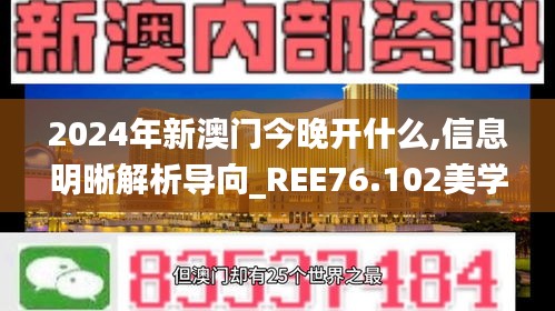 2024年新澳门今晚开什么,信息明晰解析导向_REE76.102美学版