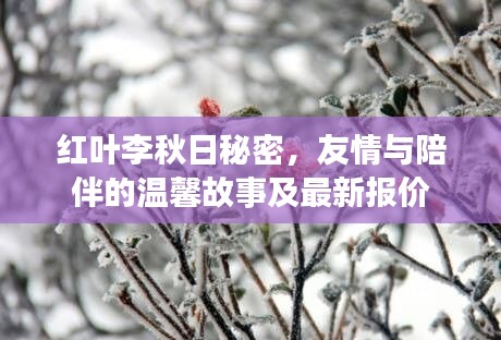 红叶李秋日秘密，友情与陪伴的温馨故事及最新报价