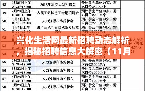 兴化生活网最新招聘动态解析，揭秘招聘信息大解密（11月14日更新）